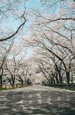 体彩足球彩票比分-揭秘体彩足球彩票比分，理性购彩与策略分析的双重奏